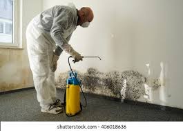 Mold Remediation for Vacation Homes in Northumberland, PA